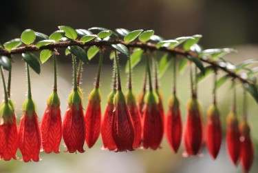 东莞石龙私人快速借钱网，轻松解决资金难题