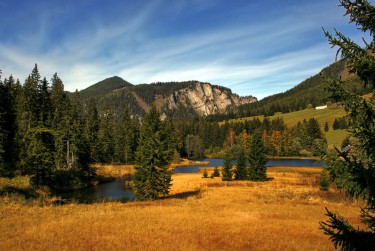 东莞石龙民间私贷攻略：揭秘低成本借贷的秘密