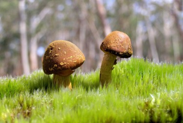 东莞石龙私人老板放款：轻松融资的秘密通道